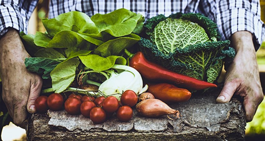 Verse groente verpakt? | Hoen Health Support